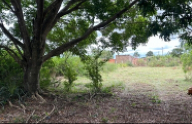Terreno para venda em Avaré