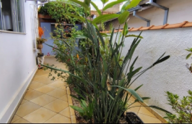 Casa para locação em Avaré